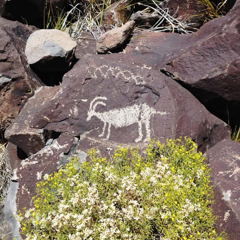 goat petroglyph